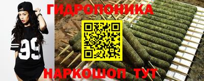 стафф Коммунар