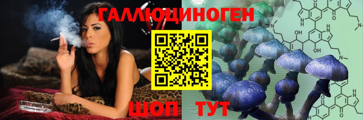 Псилоцибиновые грибы Psilocybine cubensis  Вход с VPN  Арзамас 