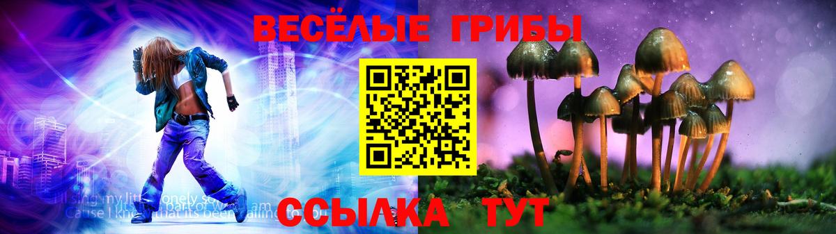 Галлюциногенные грибы Psilocybine cubensis Арзамас